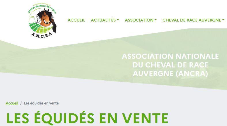 Le dépot d'annonces de vente de Chevaux de Race Auvergne est opérationnel.