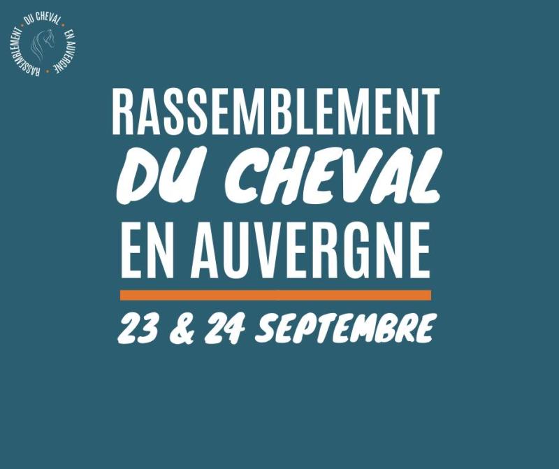 Rassemblement du Cheval en Auvergne à Issoire (63)Cheval