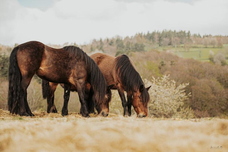 24 Août - Concours M&A ThorasCheval