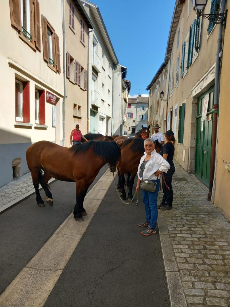 Retour sur les Fourmofolies 2024Cheval