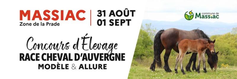 Concours Modèle & Allures de Massiac du 31 Août et 1er Sept.Cheval