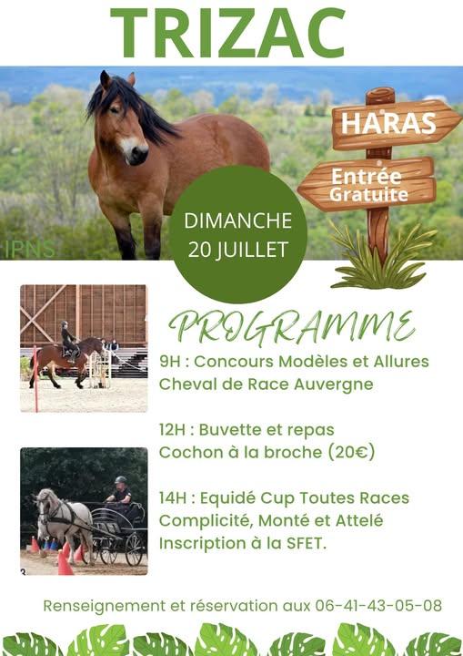 Concours Modèle et Allures de Trizac