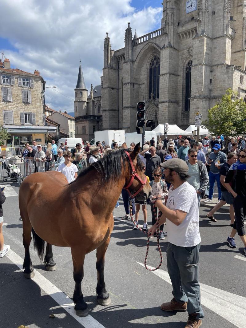 Fourmofolies 2025 à Ambert