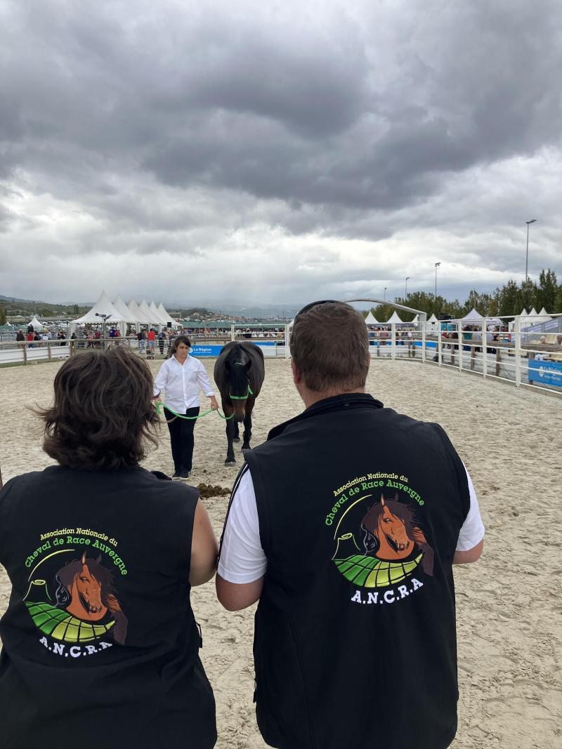 Commission d’Approbation Nationale -  dimanche 16 novembre 2025